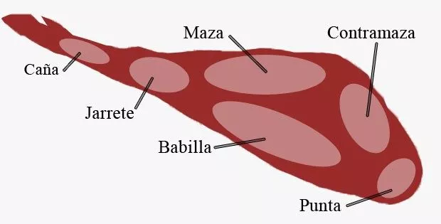 partes del jamon iberico