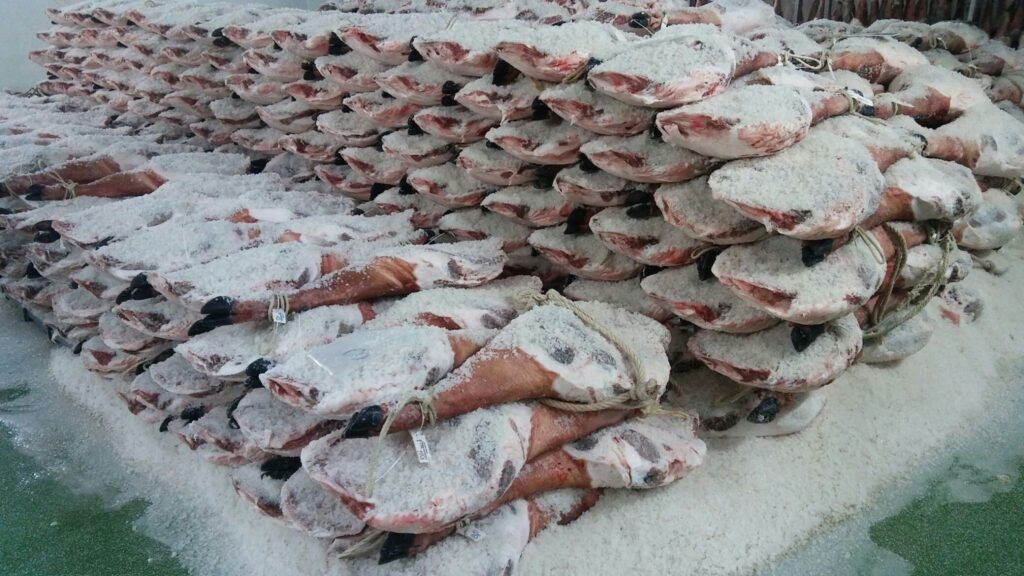 Como Elegir Jamon Iberico 1 1024x576